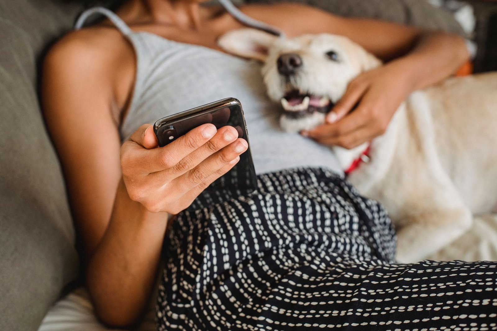 Proprietario controlla la posizione del cane sullo smartphone durante una passeggiata
