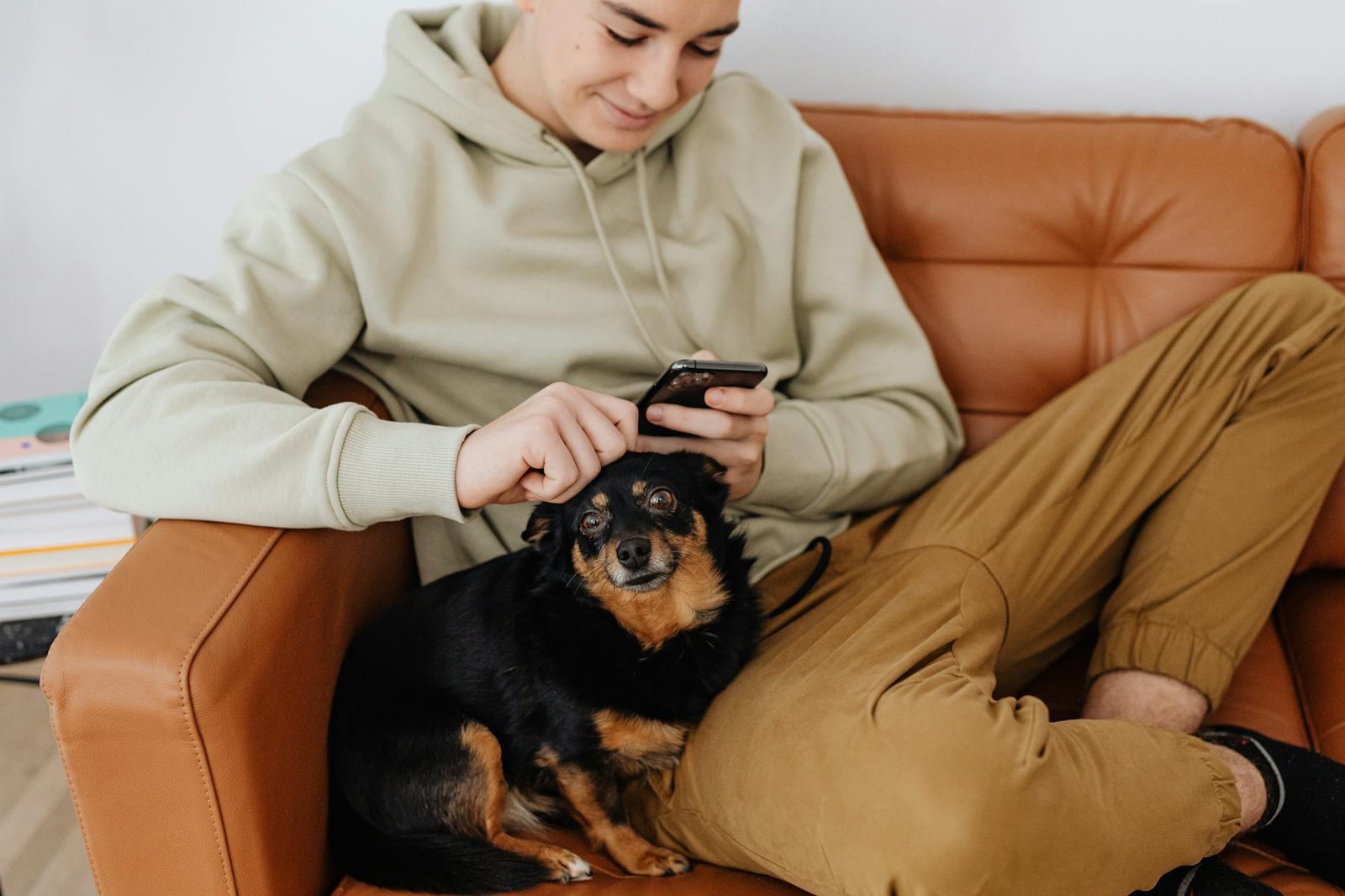 Padrone controlla la posizione del cane dall'app sullo smartphone