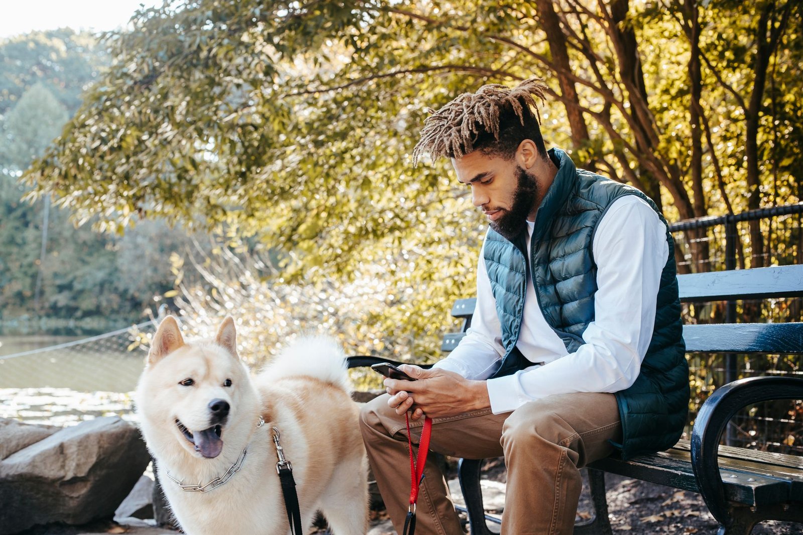 Padrone controlla lo smartphone all'aperto mentre il cane gioca