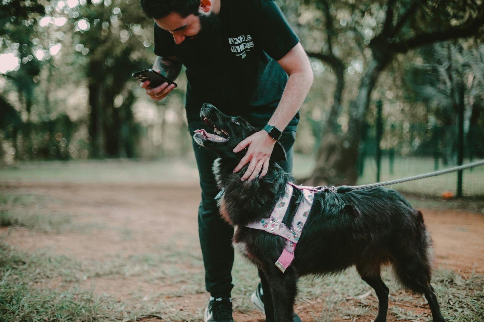 Padrone controlla la posizione del cane sullo smartphone durante una passeggiata