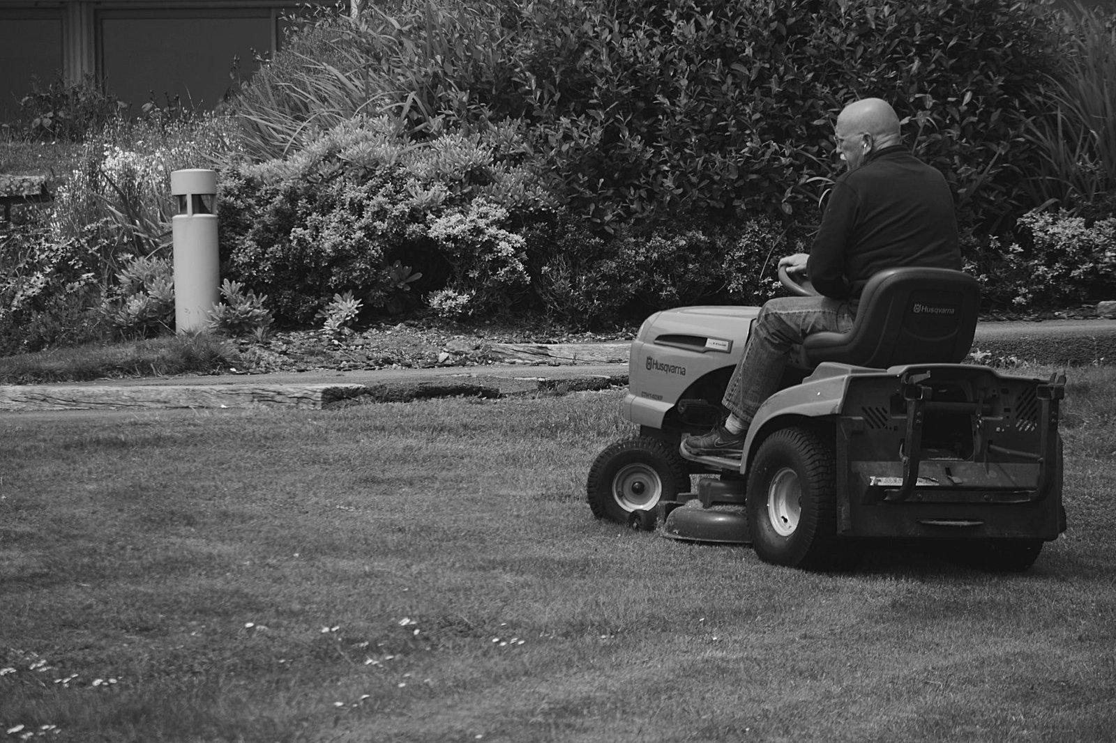 Robot rasaerba senza filo mentre taglia il prato in giardino