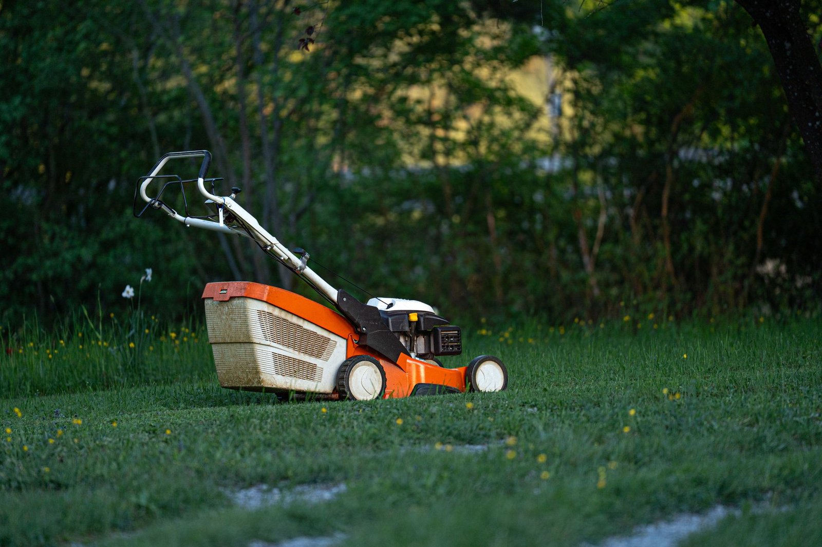 Robot tagliaerba al lavoro su un prato verde