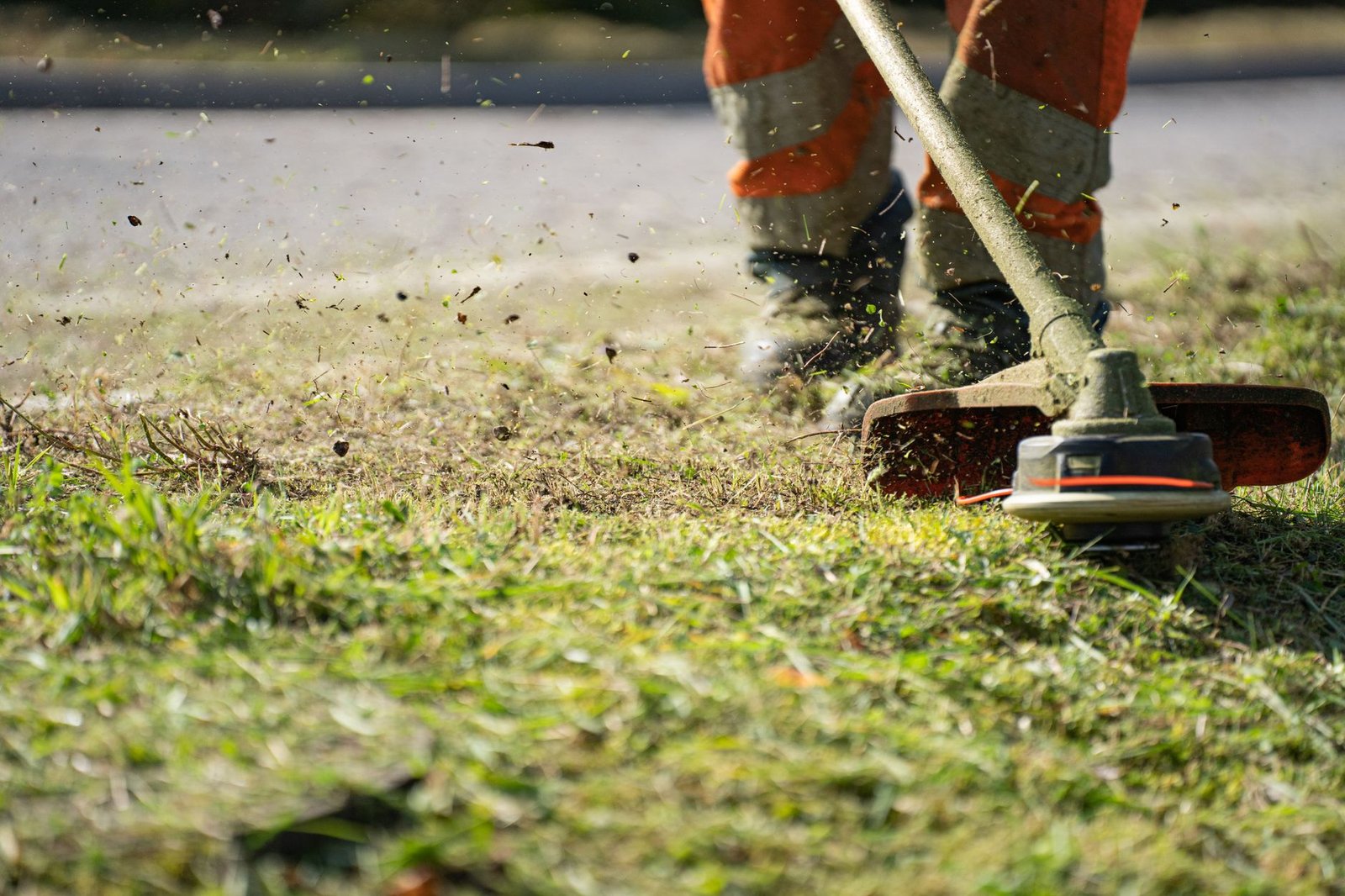 Robot tagliaerba al lavoro su un prato verde curato