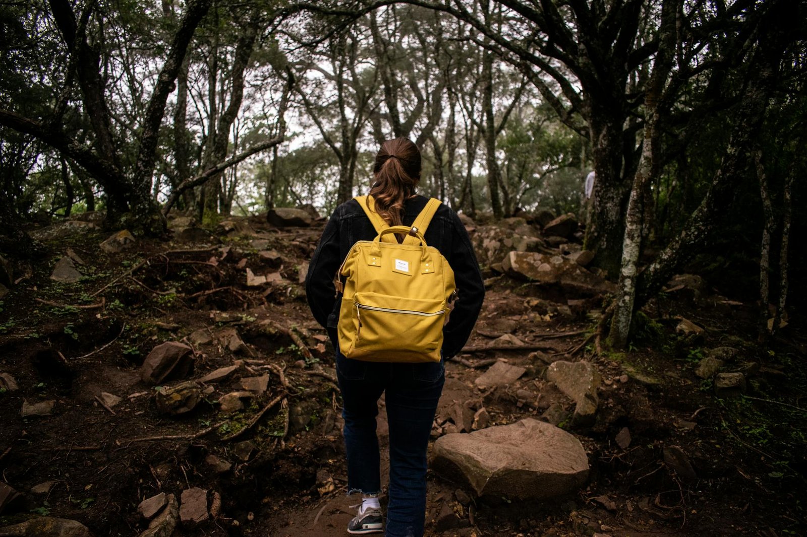 Escursionista che cammina su un sentiero di montagna con lo zaino